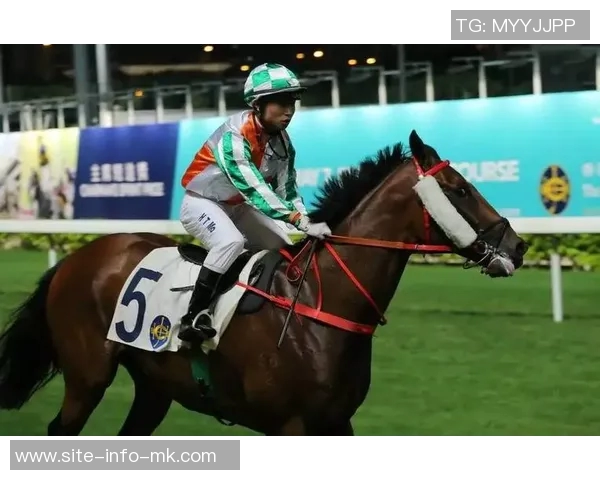 上任森林队后七场未尝胜绩澳大利亚教练信心满满期待终将捧杯